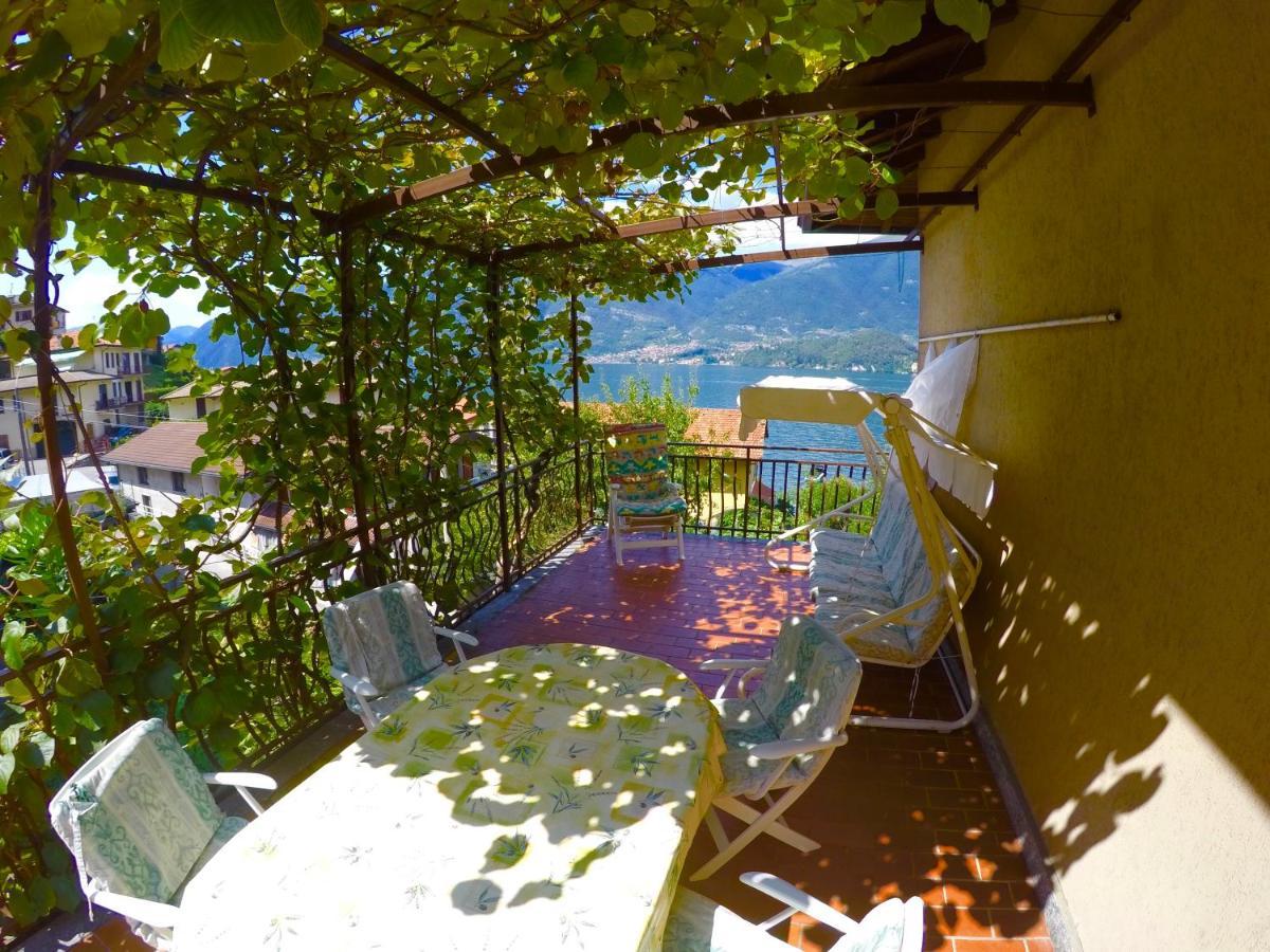 Apartment L'agrifoglio Lezzeno