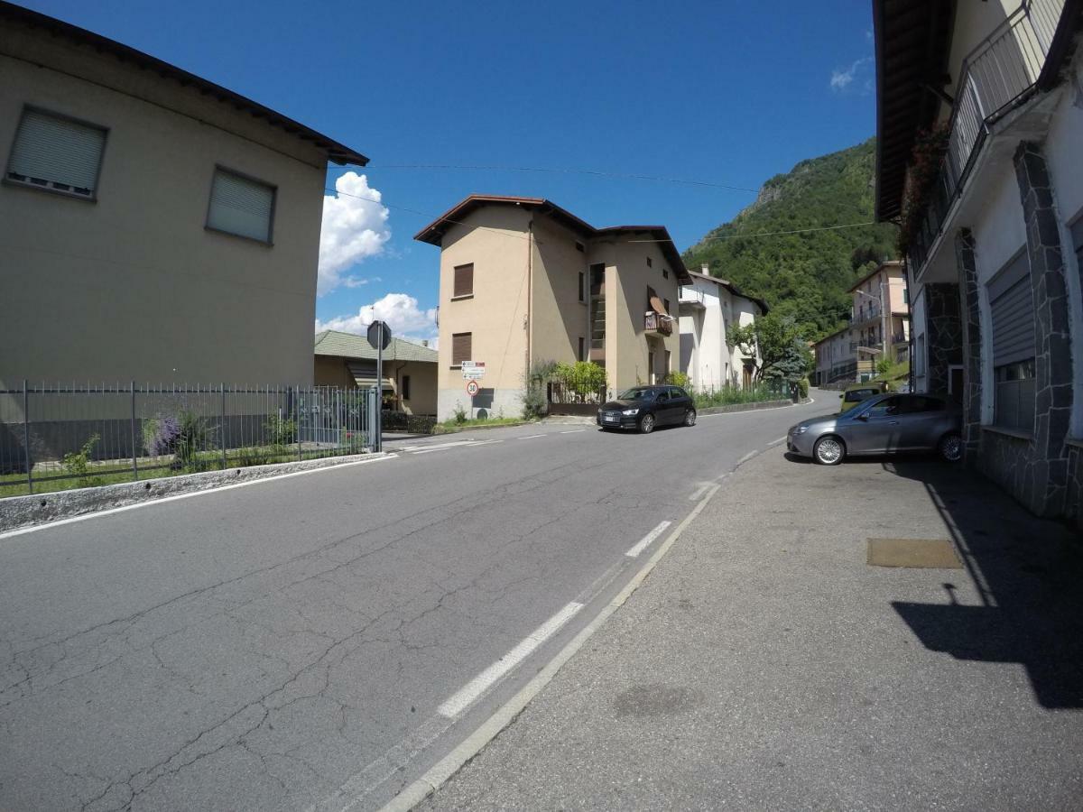 L'agrifoglio